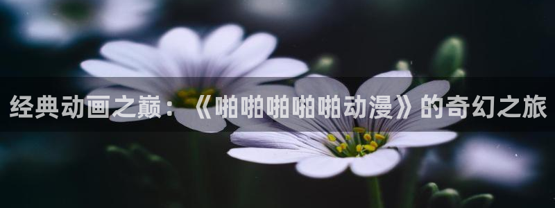 樱花动漫动漫大全：经典动画之巅：《啪啪啪啪啪动漫》的奇幻之旅