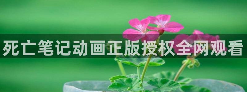 樱花动漫：死亡笔记动画正版授权全网观看