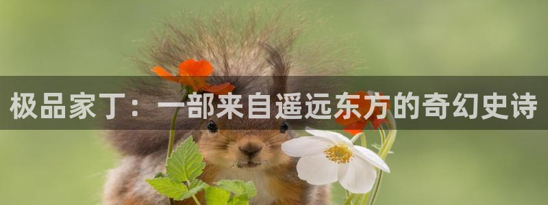 风车漫画官网入口